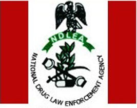 NDLEA LOGO