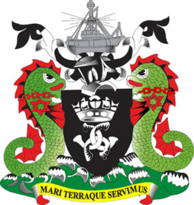 NPA logo