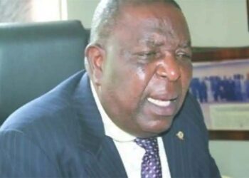 Ex-ANAN President Applauds FG For Reopening 4 Additional Borders