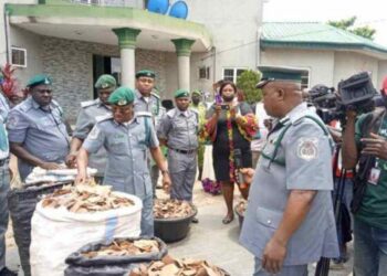Customs Strike Force Team “B” Seizes Goods Worth N148.5 M In April
