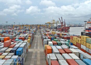 Nigerian Freight Forwarders In U.S Seek Review Of New Vehicle Clearing Fee