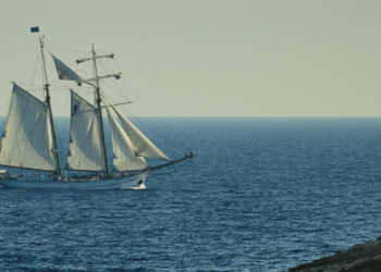 Marine License Insurance: Do You Need It?