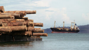 TIMBER CARRIER