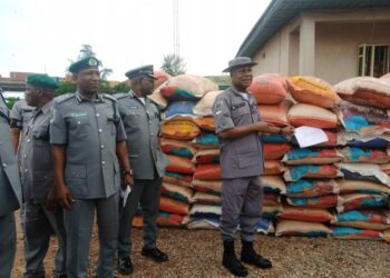 Customs Western Marine Command Intercepts Cannabis Sativa, Rice