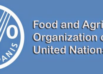 Global Food Import To Hit $1.8trn In 2022 – FAO