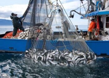 FG licenses 164 vessels