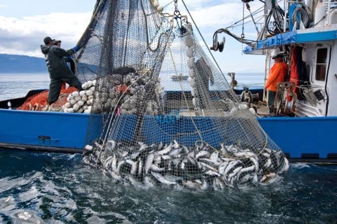 Nigeria, largest stockfish importer from Norway – Report