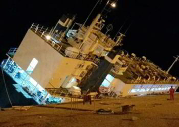 Livestock Carrier Capsizes and Sinks, Killing 15,000 Sheep
