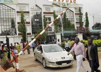 Anxiety At The Ports As NAFDAC Workers Embark On Strike