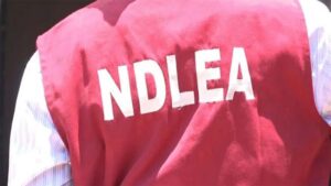 NDLEA