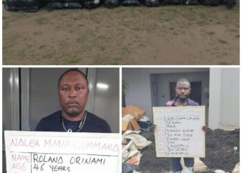 NDLEA Intercepts Large Drug Consignments At Lagos, Abuja Airports