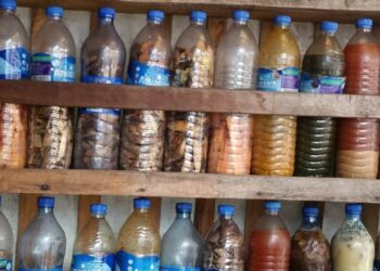 Doctors Warn Against Excessive Herbal Products Intake