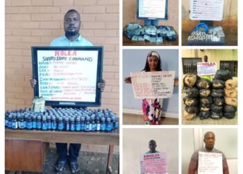 Drug Trafficking: NDLEA Arrests 8 At Lagos, Abuja, Enugu Airports For Cocaine