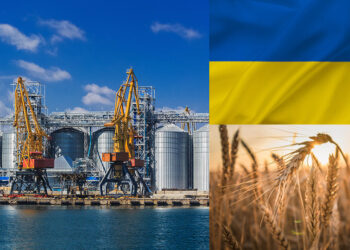 Grain Agreement Could See 65% Of Ukraine’s Seaborne Capacity Reopen