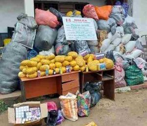 Drugs-seized-by-NDLEA