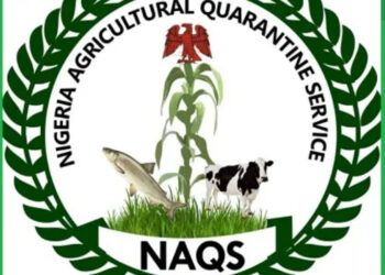 We Are On Red Alert At Land Borders, Seaports, Airports, Others Against Outbreak Of Monkey Pox, Marburg Virus – NAQS