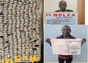 NDLEA Arrests Freight Forwarder In Connection With Seized 442 Parcels Of Crystal Meth In Heads Of Smoked Fish