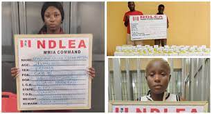 NDLEA Intercepts Container, London, Dubai-Bound Drugs At Lagos Seaport, Airport