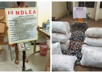 NDLEA Intercepts 249,600 Tramadol Tabs At Lagos Airport, Arrests Freight Agent
