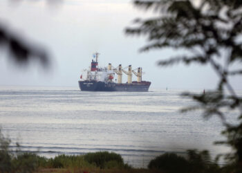 Over 600,000 Tonnes Of Grain Shipped From Ukraine Since Deal