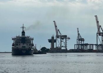 Grain Initiative: 12 Vessels Authorised To Depart Ukrainian Ports – Coordinator