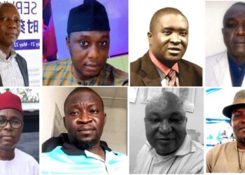 Why do you think the Inland Dry Ports in the South are not receiving attention?