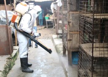 Flu: Lagos Begins Decontamination Of 35 Live-Bird Markets
