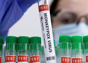 Monkeypox: Expert Calls For Strong Public Healthcare System