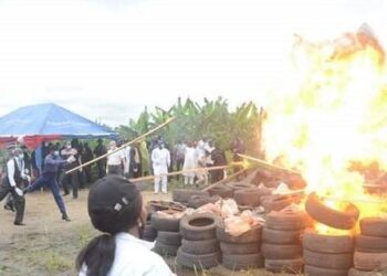 Again, NDLEA Sets Ablaze 1.8 Tons Of Cocaine In Lagos