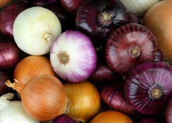 The Medicinal Benefits Of Onion