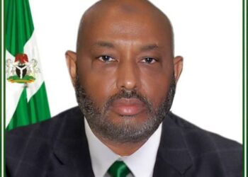 SON To Return To Nigeria’s Borders Soon – Official