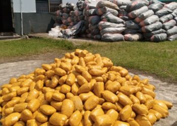 Customs Intercepts Cannabis Sativa, Others Worth N2.2bn In 5 Months