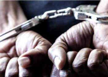 Freight Forwarder Docked Over Alleged Theft Of N1.2m