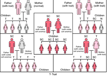 Sickle Cell And The Mind