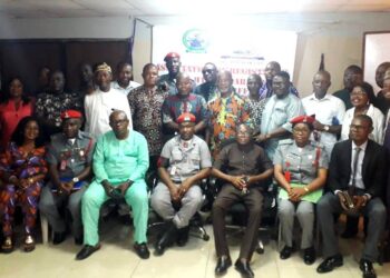AREFFN Tasks Customs ‘Police’ On Standardisation, Multiplicity Of Customs Formations