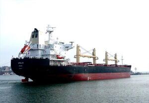 MV Apellis