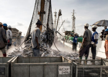 100 Countries Including Nigeria Back Agreement Against Illegal, Unregulated Fishing