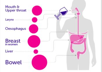 Increased Alcohol Consumption Linked To Various Cancers, Study Says
