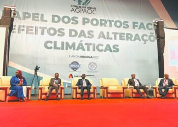 NPA MD Laments Cost Implication Of Decarbonisation On African Ports