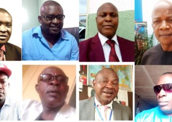 How will you access the effectiveness of the scanners at the Lagos ports?