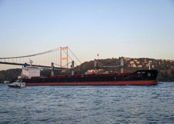 Turkey: Six Grain Ships Have Left Ukraine Since Russia Rejoined Deal
