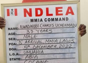 NDLEA Intercepts Brazil Returnee With Cocaine, Other Substances