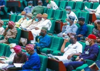 Reps Amend SON Act For Petroleum Products
