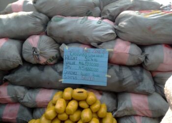 Customs Strike Force Zone ‘A’ Intercepts Cannabis Sativa, Others Recovers N5.8bn In Duty 