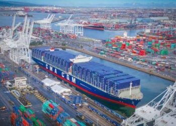 Lekki Deep Seaport: Nigeria Eyes Niger Republic Cargoes From Cotonou Port   