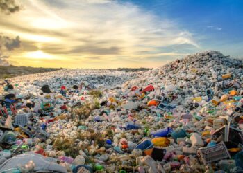 The Ocean Plastic Pollution Problem is Growing Bigger And Fast