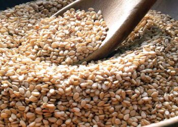 Africa Major Importer Of Sesame- Shanghai Customs