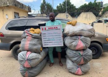 NDLEA Intercepts 107kgs Of Cannabis Indica At Tincan Port
