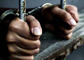 Lawyer To Late Customs CG; Dikko, Bags 7-Year Imprisonment For Alleged N1.1bn