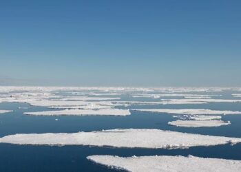 10 Arctic Ocean Facts You Might Not Know (1)